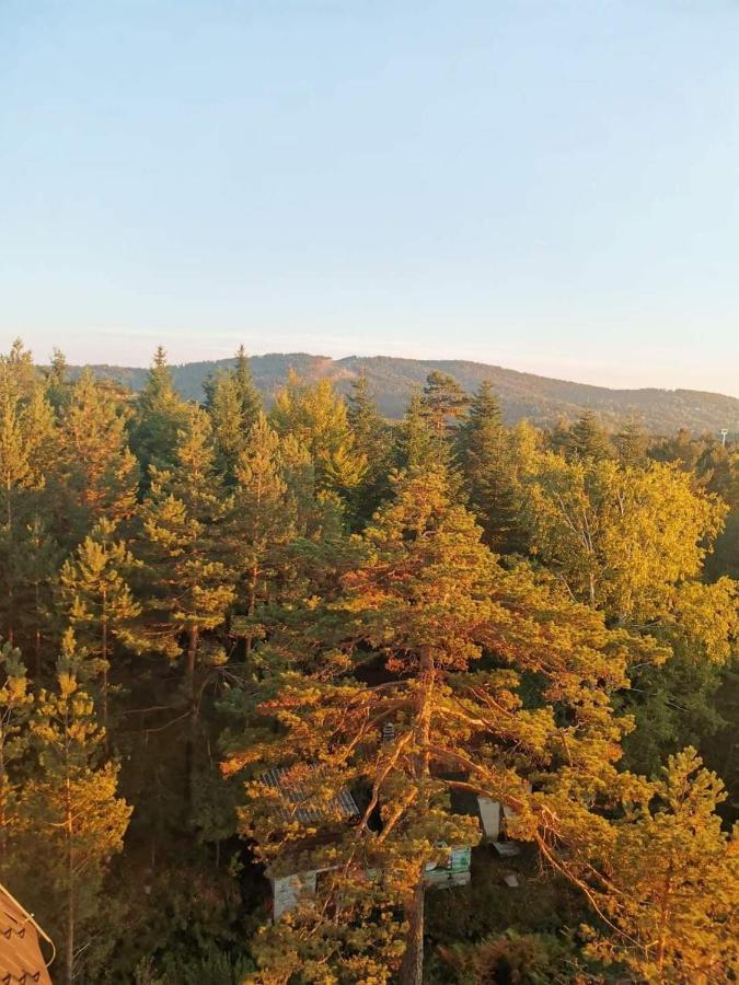 Divcibare Planinski Mir A19 Extérieur photo