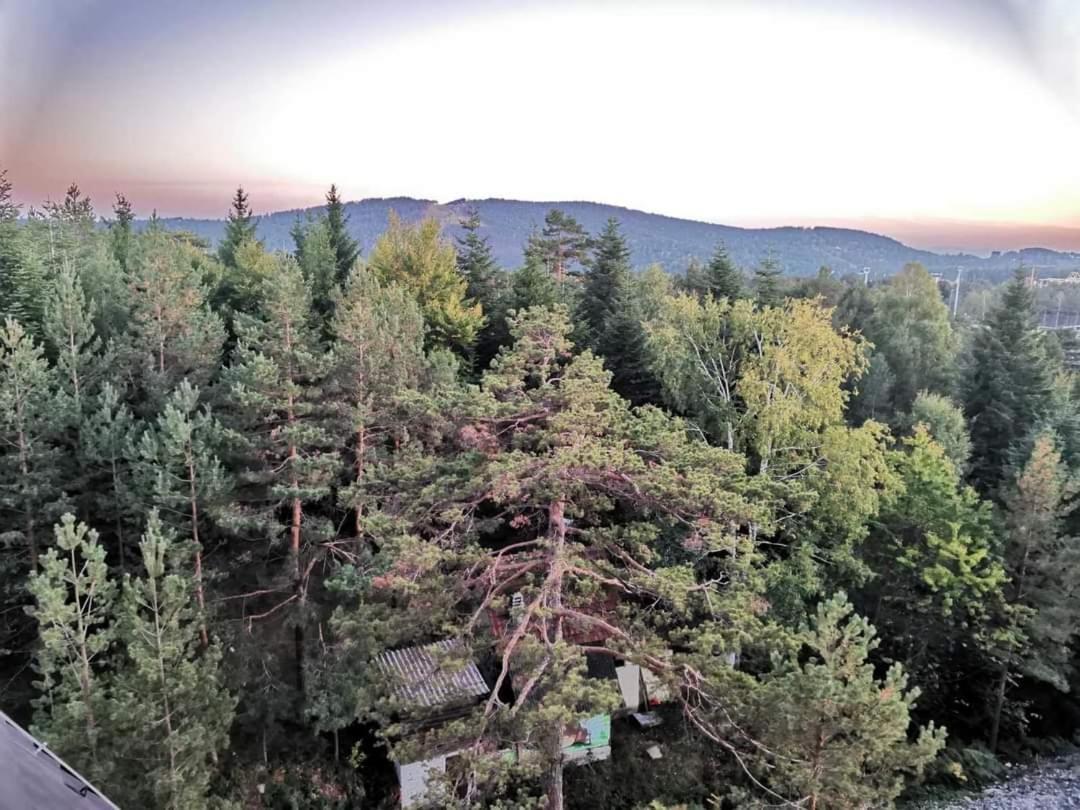 Divcibare Planinski Mir A19 Extérieur photo